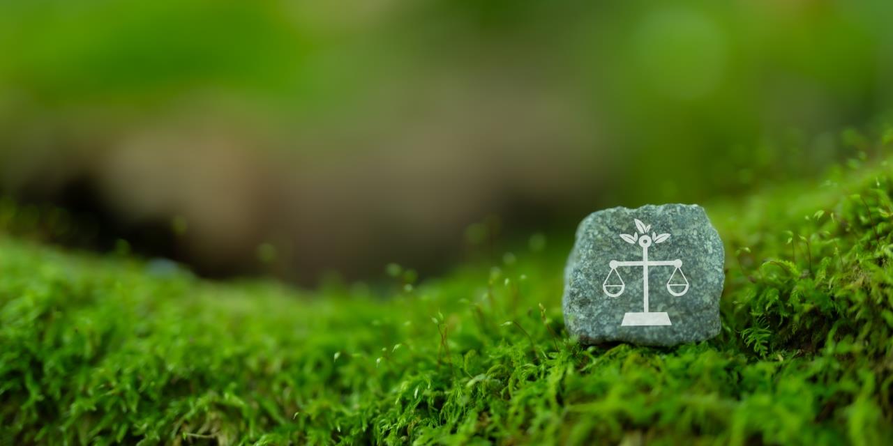 How new Sustainability Laws are Reshaping Apparel Supply Contracts